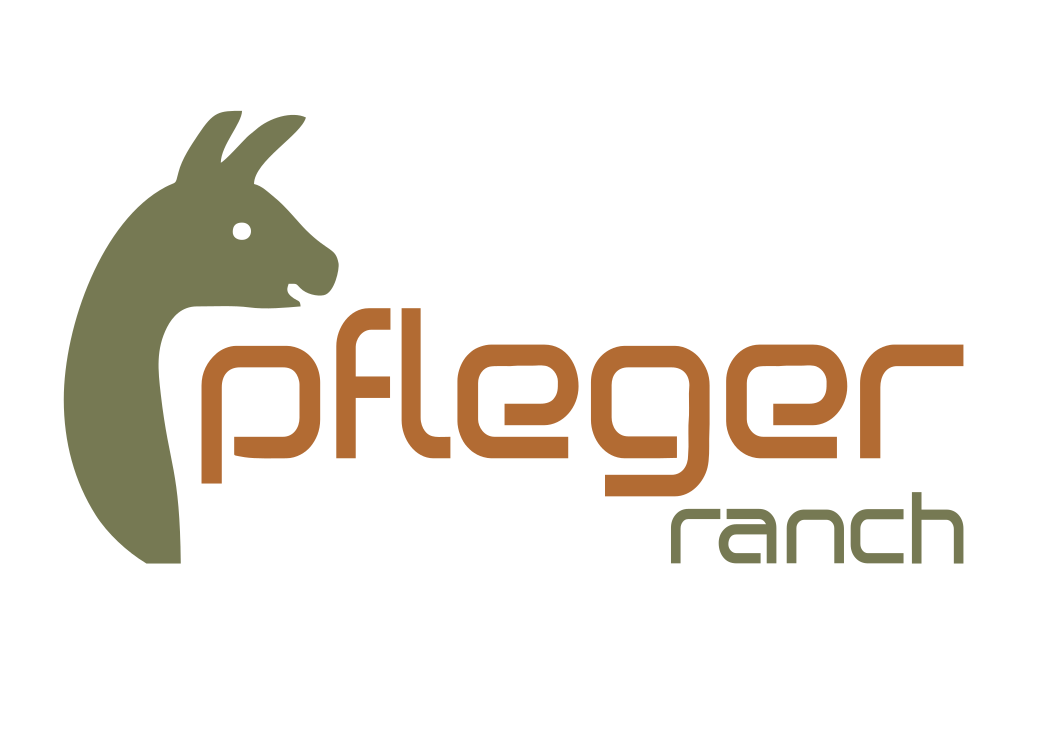 Ankommen – Wohlfühlen – Auftanken